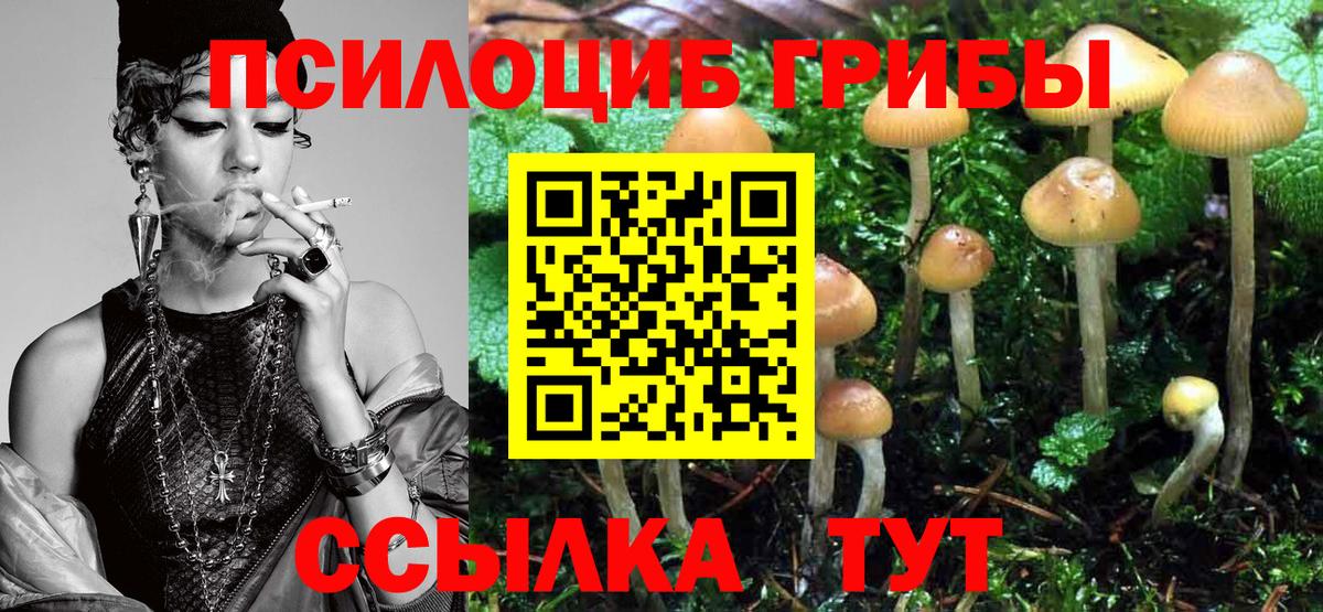 Псилоцибиновые грибы мухоморы Луховицы