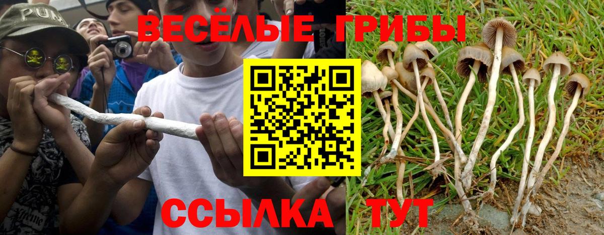 Галлюциногенные грибы Cubensis  Псилоцибиновые грибы ЛСД  Луховицы  как найти закладки  Вход с VPN 